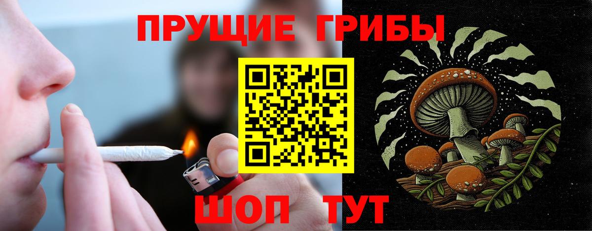 Спасск-Дальний  Галлюциногенные грибы MAGIC MUSHROOMS  Вход с VPN 