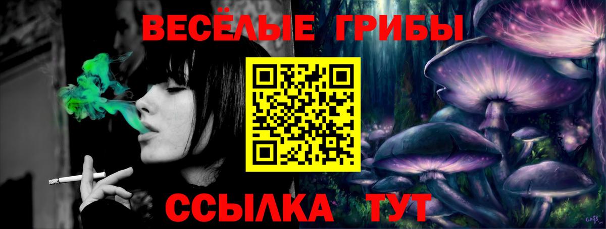 Псилоцибиновые грибы Psilocybe Спасск-Дальний